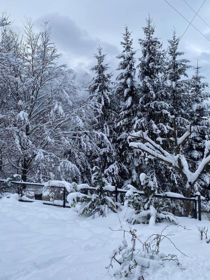 Bohemian Chalet Villa Buşteni Eksteriør bilde