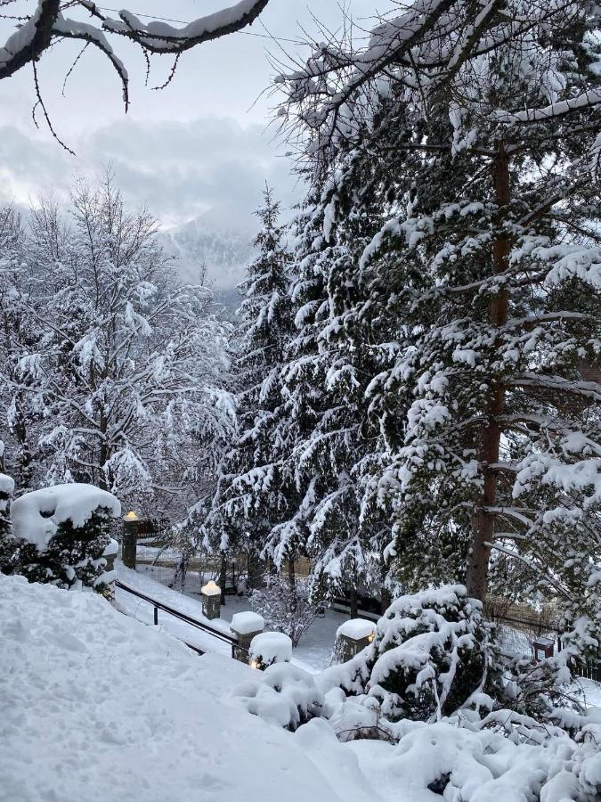 Bohemian Chalet Villa Buşteni Eksteriør bilde