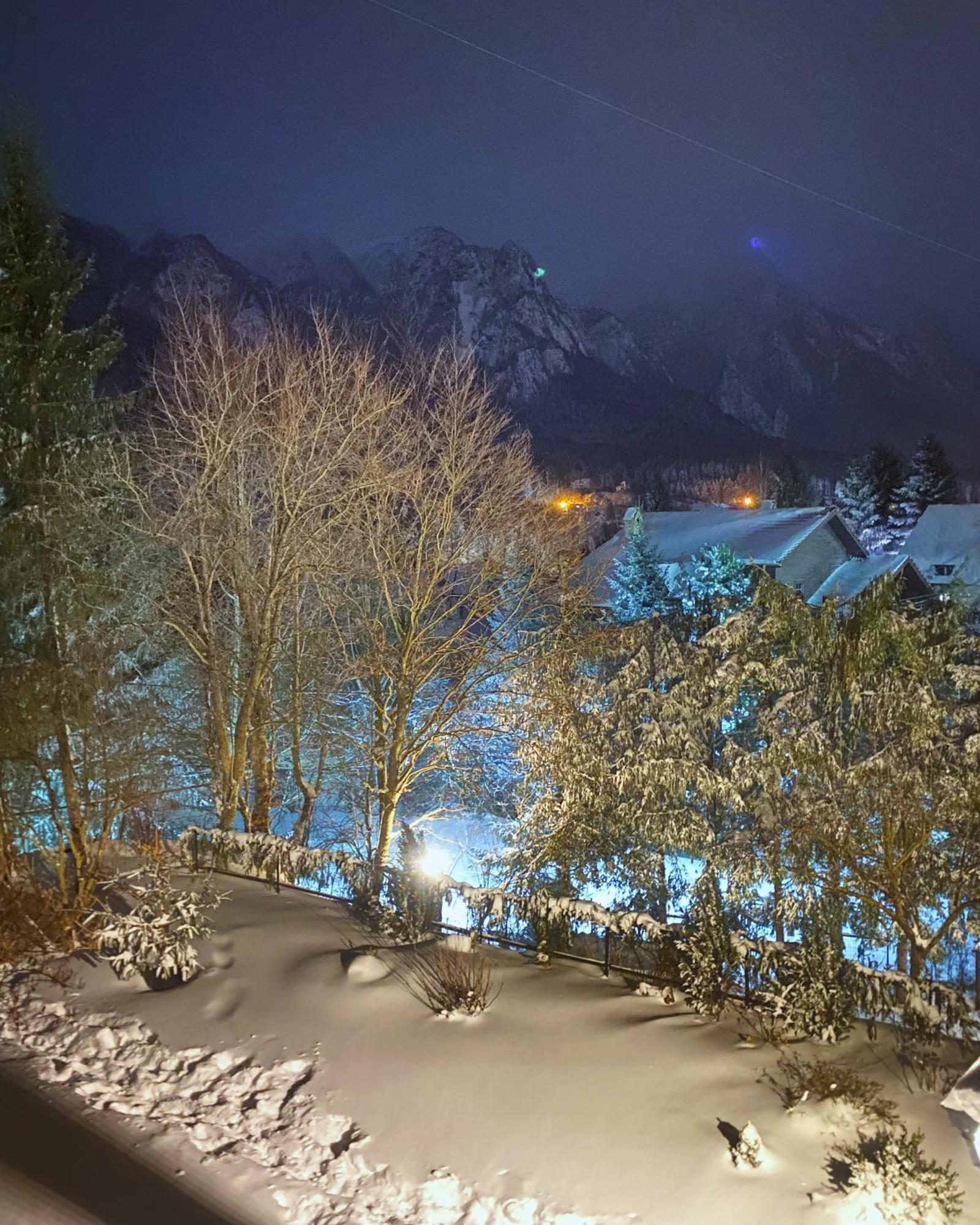 Bohemian Chalet Villa Buşteni Eksteriør bilde